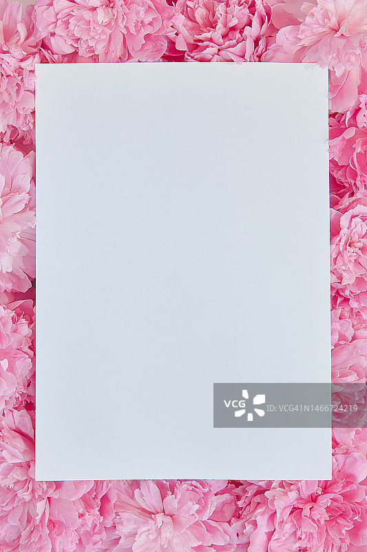 粉色花卉背景上的白色纸张样机，竖版框架图片素材