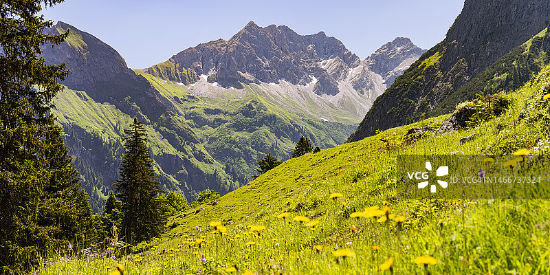 德国巴伐利亚州：阿尔高阿尔卑斯山风景优美的草地图片素材