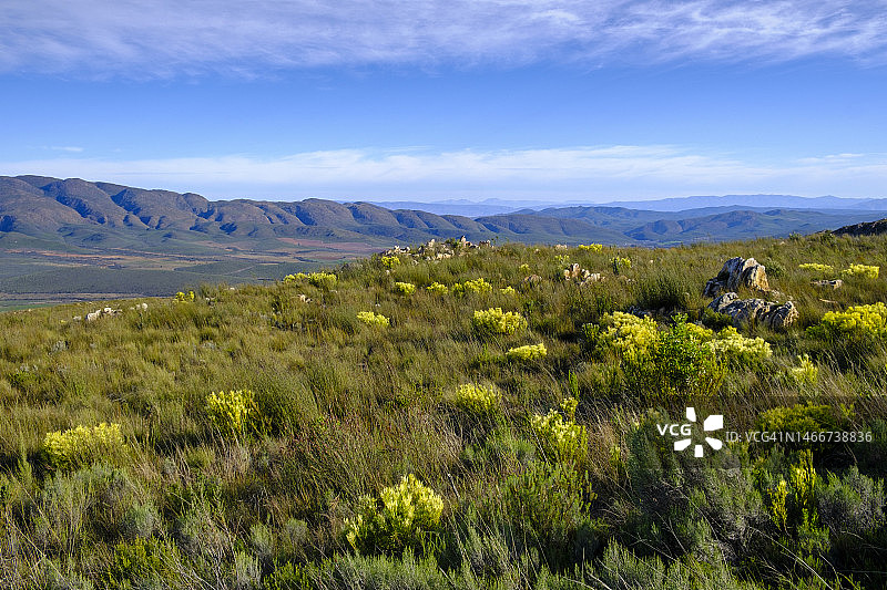 南非西开普省，斯瓦特贝格山口的绿色草地景观图片素材