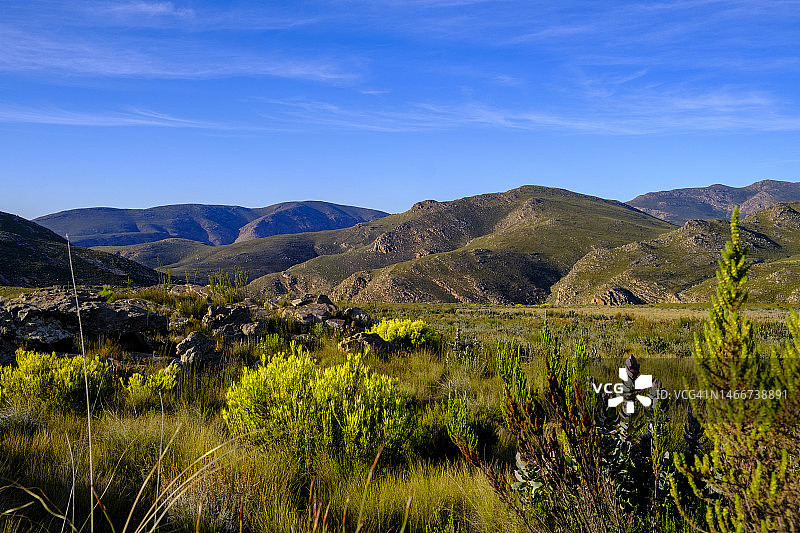 南非西开普省斯瓦特山夏季风光图片素材