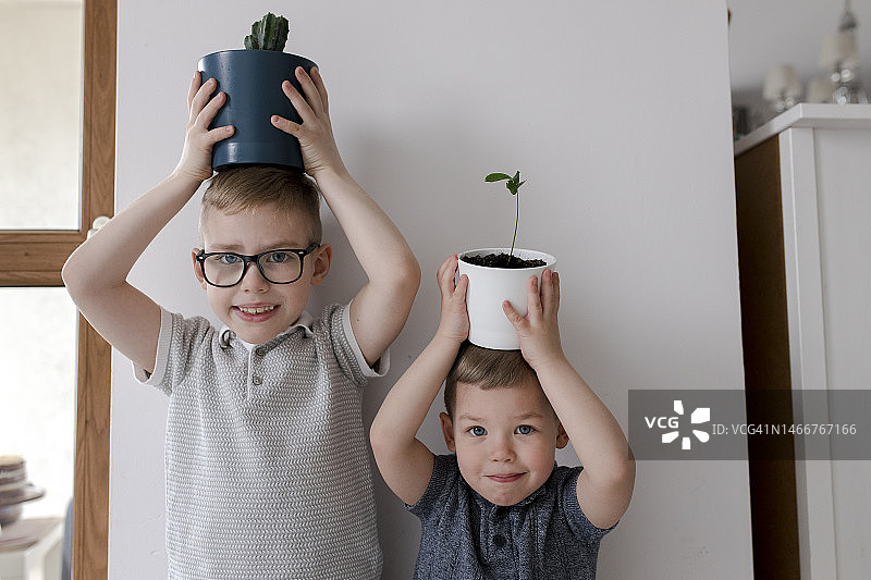 兄弟在家头顶盆栽图片素材