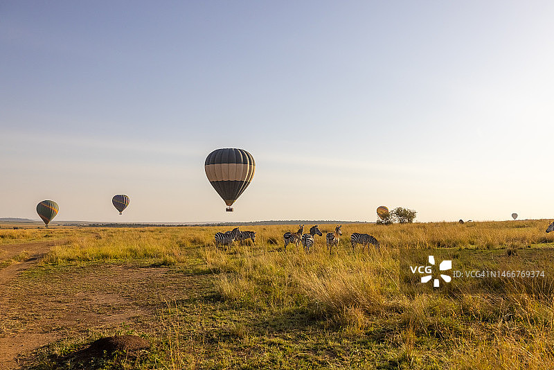 在晴朗天空下飞越草地的热气球之旅图片素材