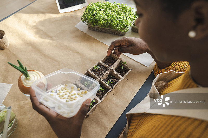 手持发芽扁豆种子的年轻女子图片素材