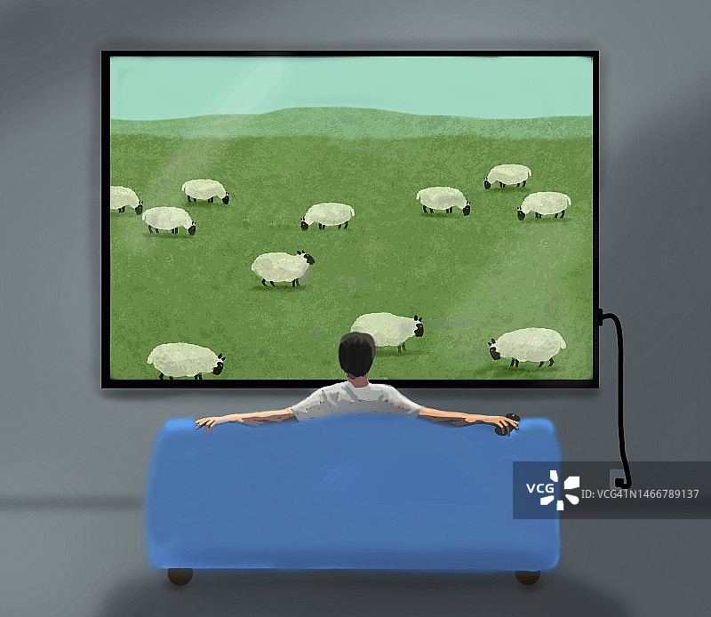 男人观看描绘羊群吃草的电视节目的插画图片素材