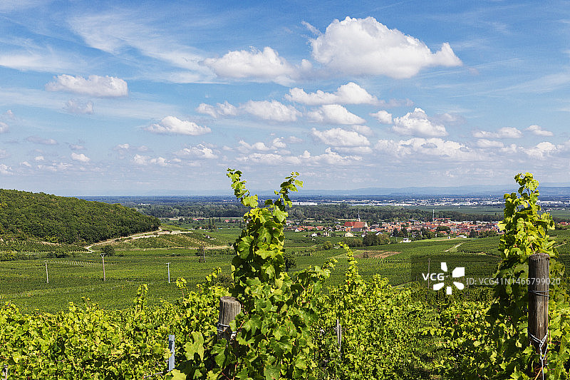法国大东区图尔克海姆夏季葡萄园与村庄背景图片素材