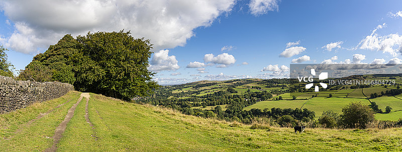 英格兰柴郡雷诺克里奇山的砂岩小径图片素材
