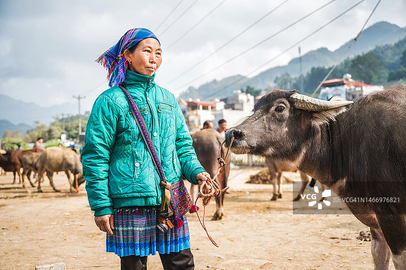 在北河牲畜市场上，土著妇女抱着水牛图片素材
