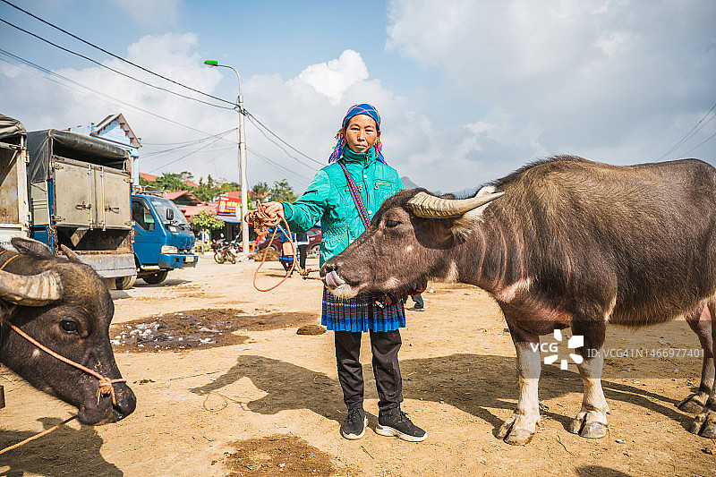 在北河牲畜市场上，土著妇女抱着水牛图片素材