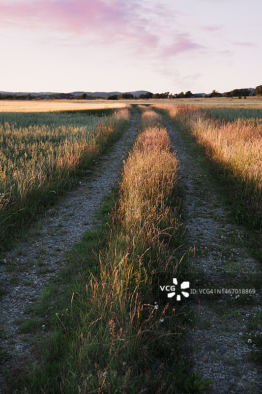 穿过农业区的土路图片素材