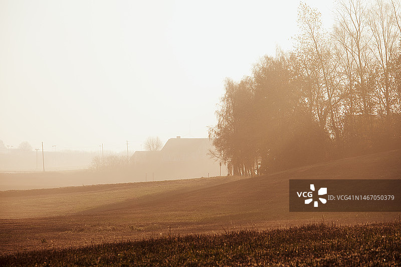 农业景观上的雾蒙蒙的早晨图片素材