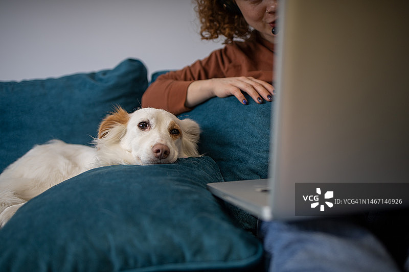 年轻时尚的女人在家里工作图片素材