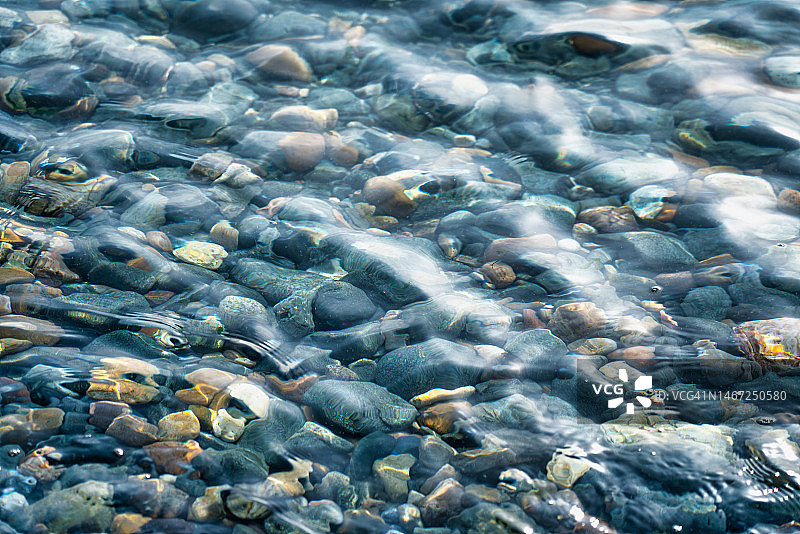 清澈透明的溪流图片素材