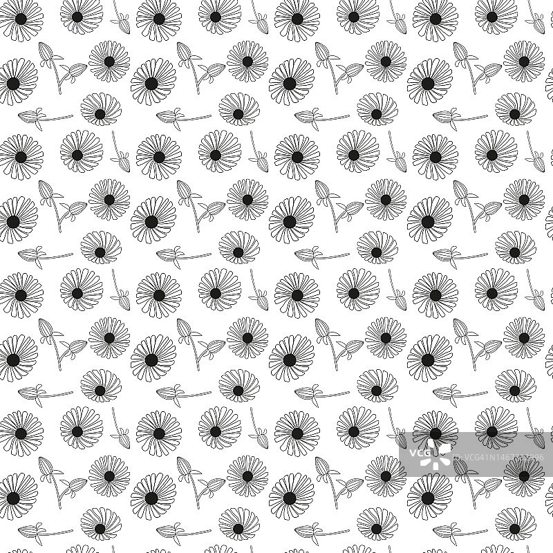 雏菊花图案设计图片素材