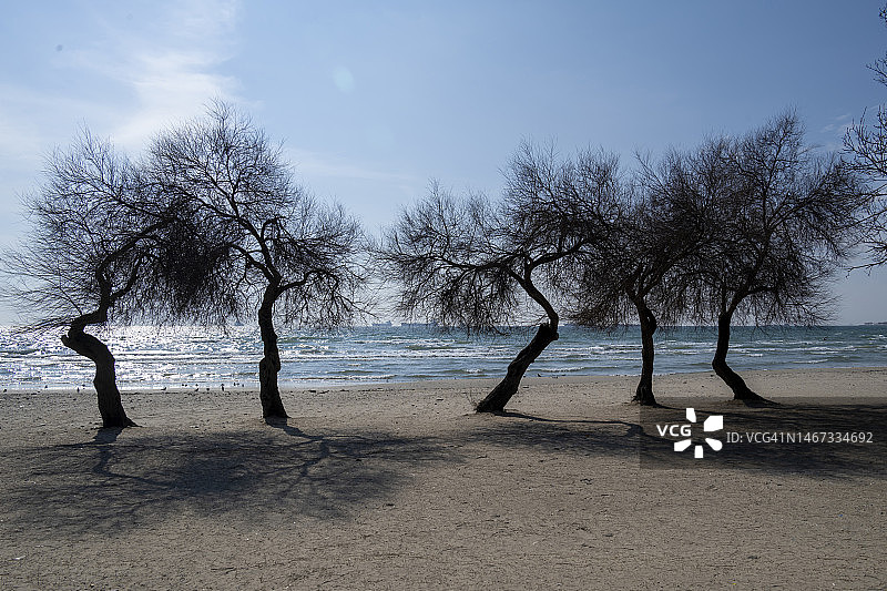 梅内克谢海滩，位于土耳其伊斯坦布尔弗洛里亚图片素材