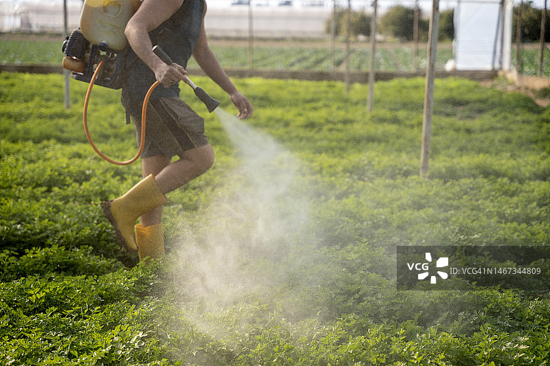 年轻农民给菜园喷洒农药图片素材