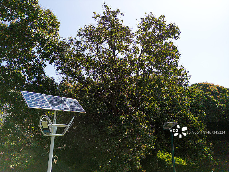 树林和太阳能路灯图片素材