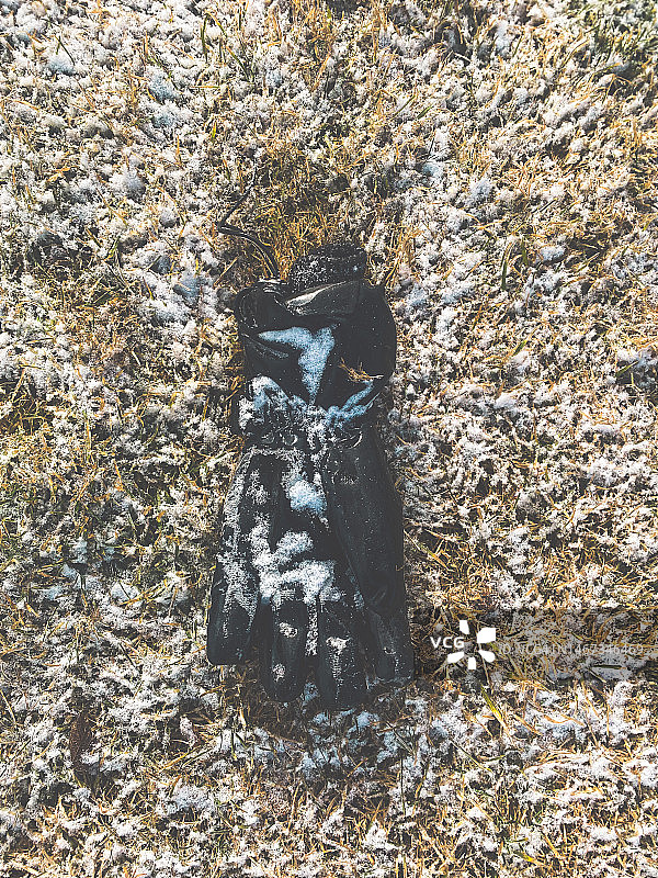 雪地草地上的一只手套图片素材