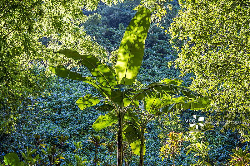 三瀑谷图片素材