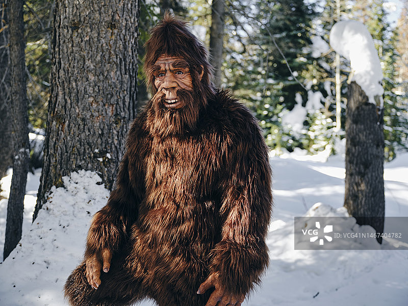 冬季森林中的大脚野人图片素材