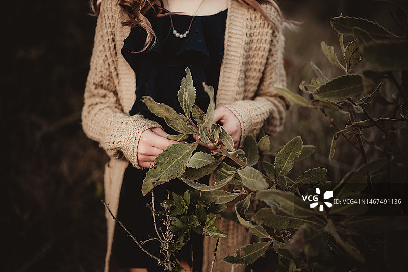 小女孩触摸灌木上的叶子图片素材