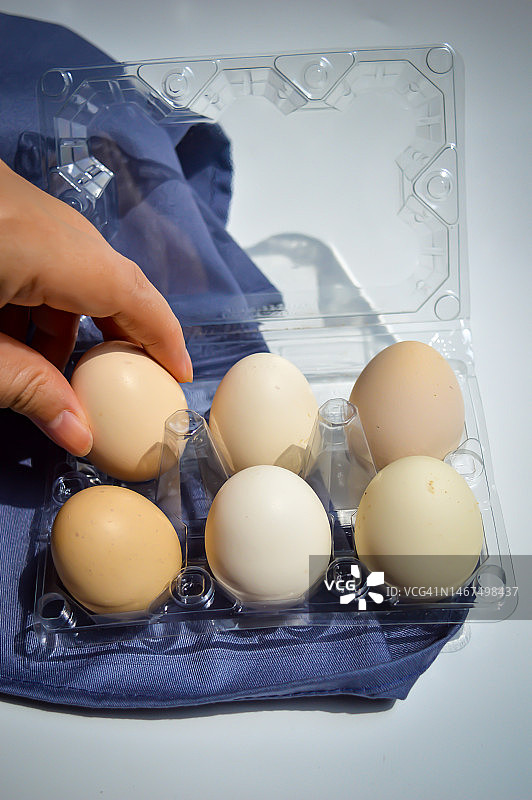 拾取鸡蛋，塑料蛋盒中的半打鸡蛋图片素材