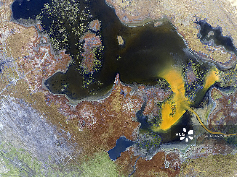 自然的形状和纹理图片素材