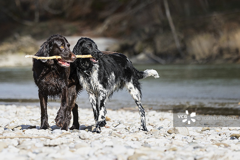 团队合作图片素材