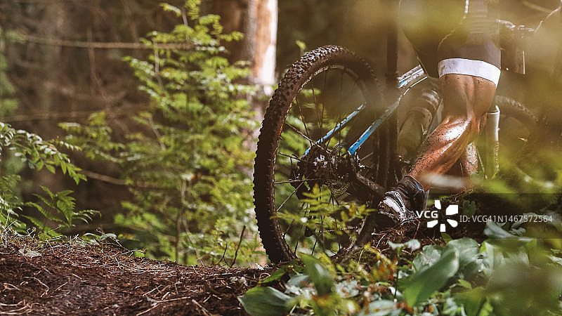 越野自行车赛：业余自行车手在阳光明媚的夏日努力训练山地自行车图片素材