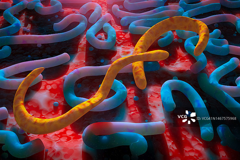 世卫组织确认：赤道几内亚爆发马尔堡病毒图片素材