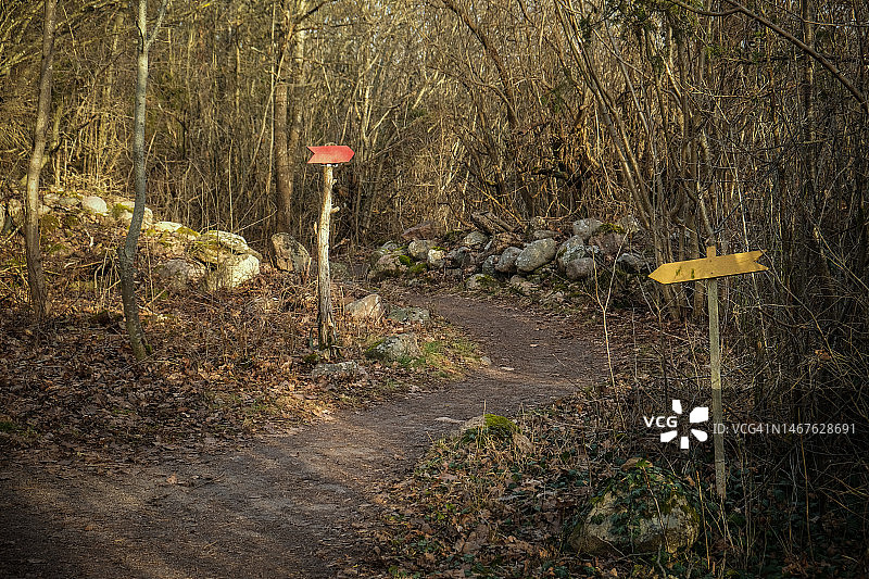 森林小路旁柱子上的箭头图片素材