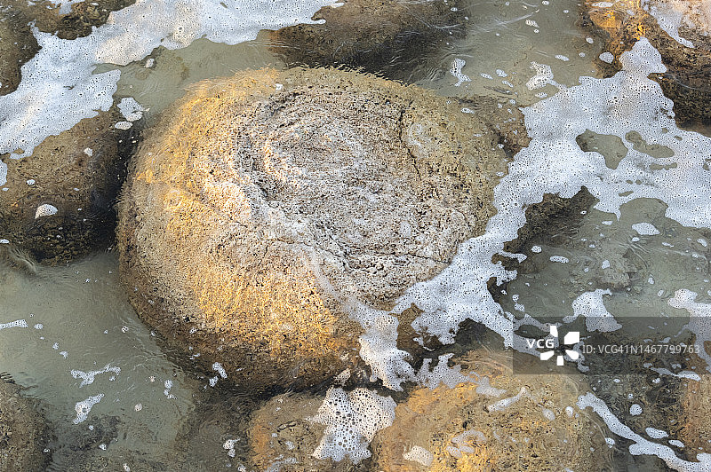 叠层石图片素材