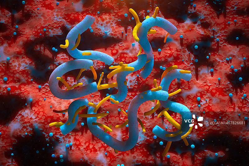 马尔堡病毒爆发图片素材