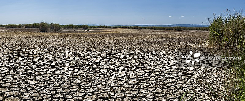 Neusiedl湖严重干燥的土壤，Neusiedl-Seewinkel国家公园，奥地利图片素材