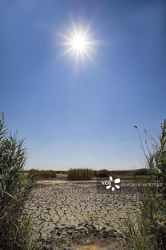 Neusiedl湖严重干燥的土壤，Neusiedl-Seewinkel国家公园，奥地利图片素材