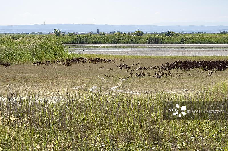 奥地利布尔根兰州新锡德尔湖-塞温克尔国家公园的达尔肖或瓦姆湖严重干涸图片素材