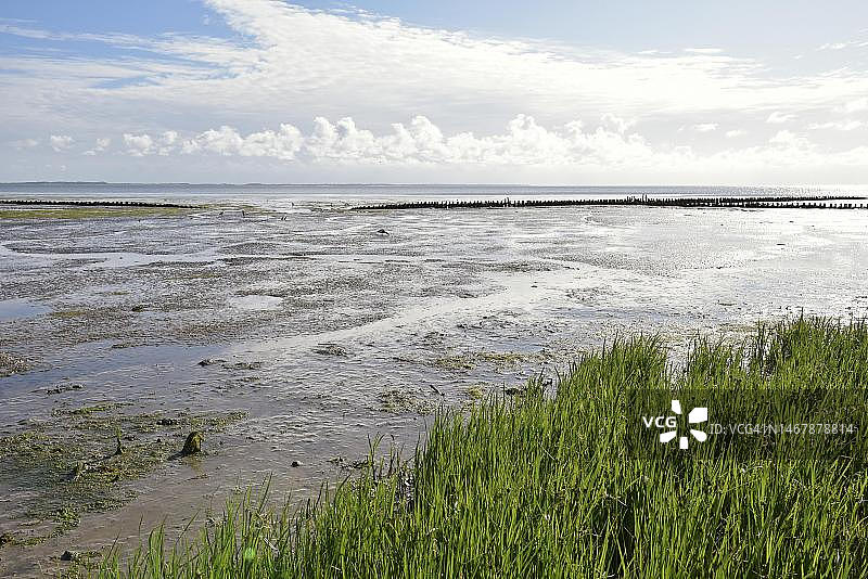 德国石勒苏益格-荷尔斯泰因州阿姆鲁姆内贝尔村附近的瓦登海海岸图片素材