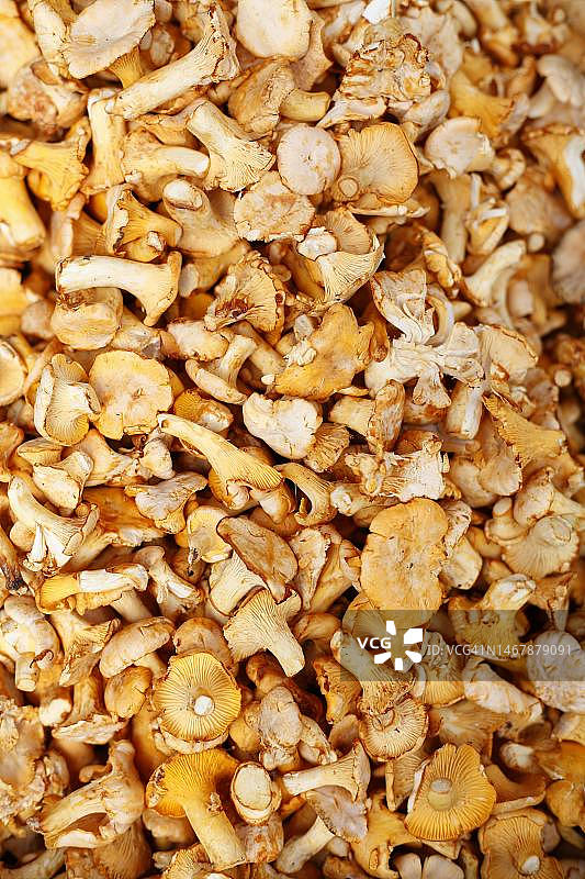 德国不莱梅每周市场上的新鲜鸡油菌图片素材