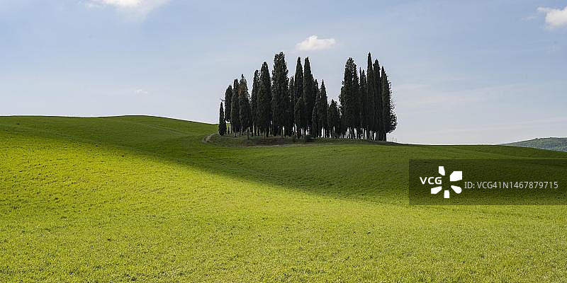 意大利托斯卡纳锡耶纳省圣奎里科多尔恰丘陵景观图片素材