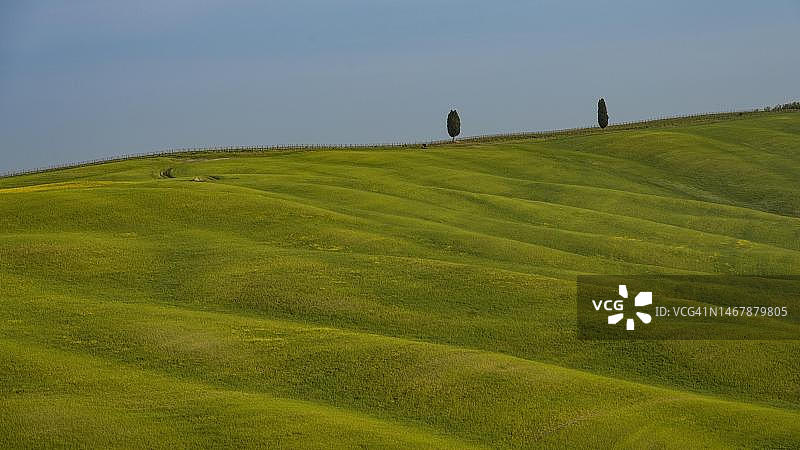 托斯卡纳锡耶纳省山丘上的田野和柏树图片素材