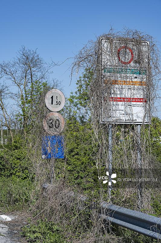 意大利威尼斯与植物一同生长的交通标志图片素材