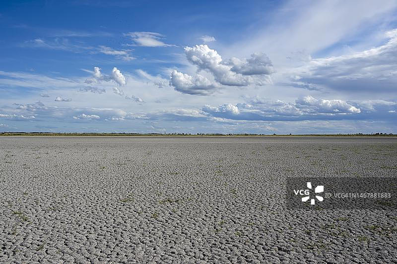 奥地利布尔根兰州新锡德尔湖-塞温克尔国家公园的达尔肖或瓦姆湖严重干涸图片素材