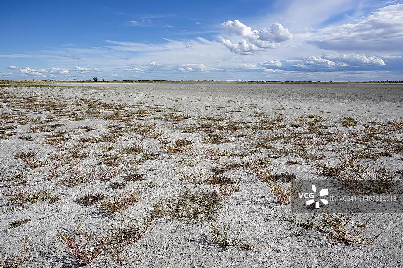 奥地利布尔根兰州新锡德尔湖-塞温克尔国家公园的达尔肖或瓦姆湖严重干涸图片素材