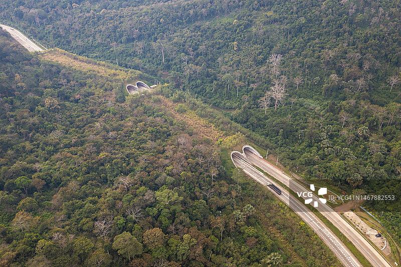 动物过桥图片素材