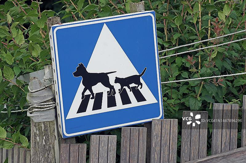 带有狗和猫的自制交通标志，瑞典斯科讷图片素材