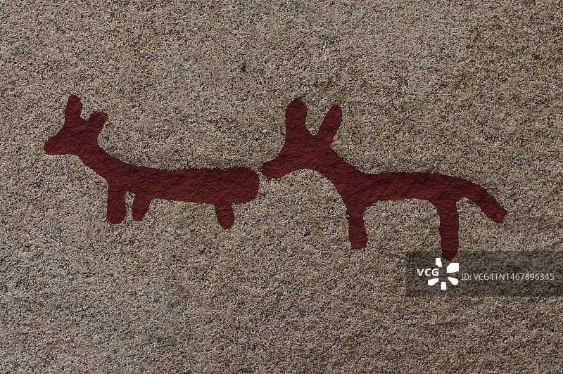 瑞典博胡斯兰，塔努姆联合国教科文组织世界遗产，青铜时代的动物岩石雕刻图片素材