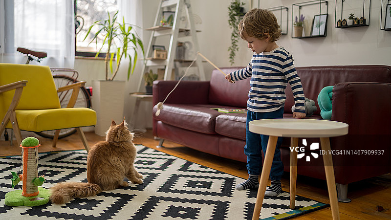 孩子在家和猫玩耍，儿童和宠物图片素材