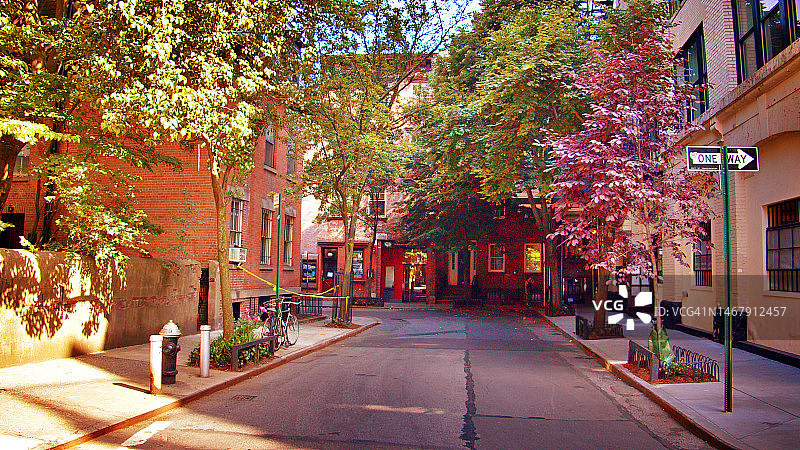 纽约曼哈顿SoHo区宁静的绿色街景图片素材