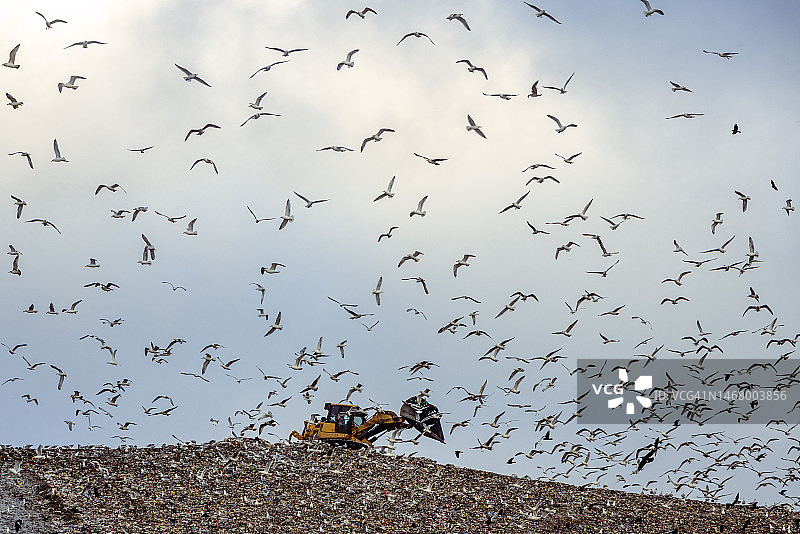 在垃圾填埋场工作的推土机图片素材