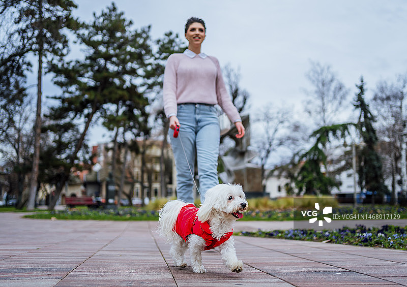 在城市里遛狗的女人图片素材