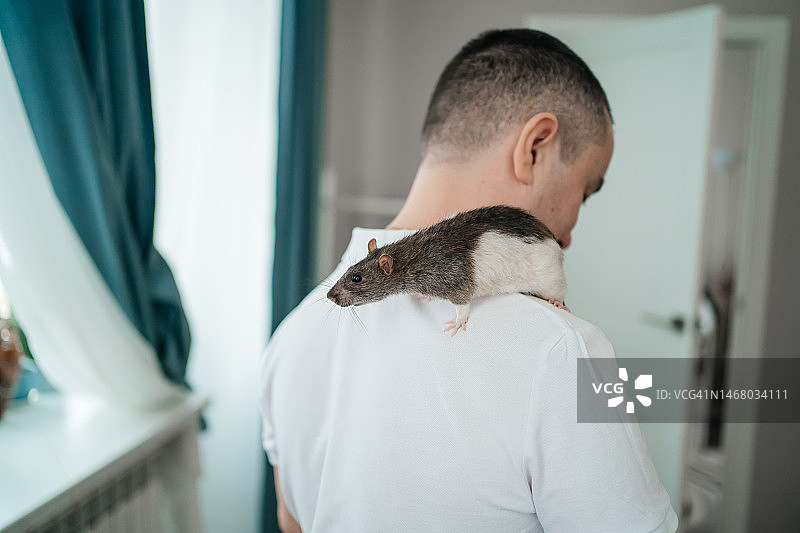 男人与家养鼠玩耍图片素材